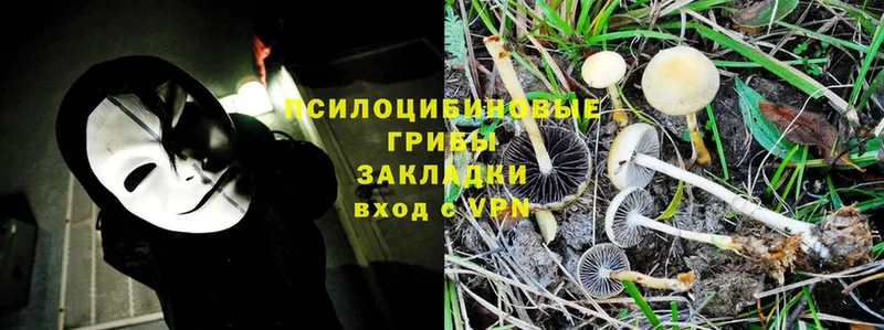 Псилоцибиновые грибы MAGIC MUSHROOMS  Дагестанские Огни 